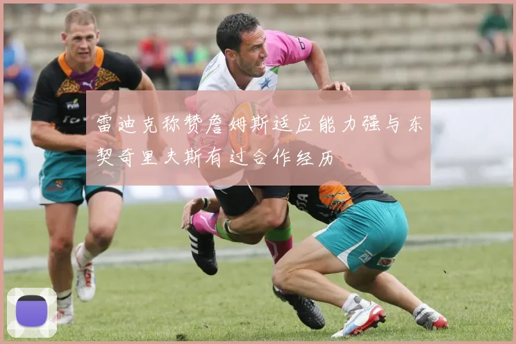 雷迪克称赞詹姆斯适应能力强与东契奇里夫斯有过合作经历
